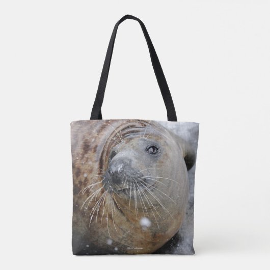 Graues Siegel auf Eis Tasche (Rückseite)