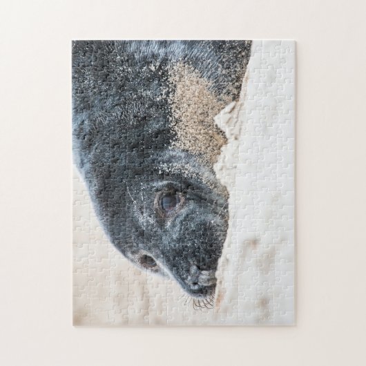 Graues Siegel im Sand, Jigsaw Puzzle (Vertikal)