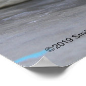 Graues Siegel Pup Poster (Ecke)