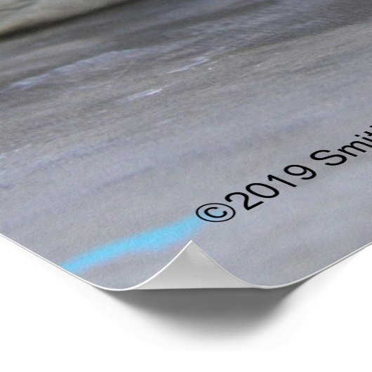 Graues Siegel Pup Poster (Ecke)