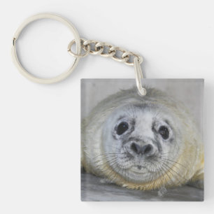 Graues Siegel Pup Schlüsselanhänger