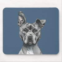 Graues Stalky Gruben-Stier-Hundezeichnen