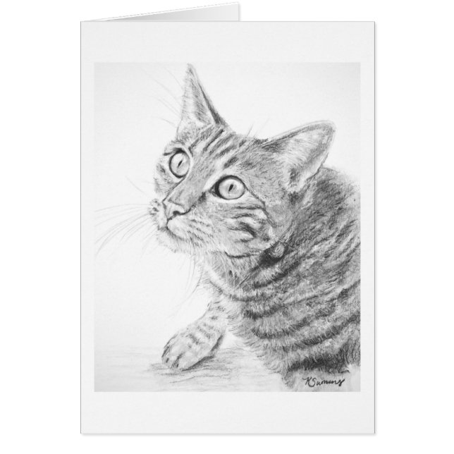 Graues Tabby-Katzen-Zeichnen (Vorne)