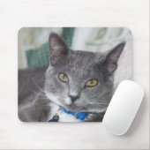 graues Tabbykatze mousepad (Mit Mouse)