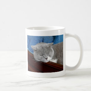 graues u. weißes Katzenschlafen Kaffeetasse