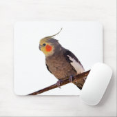 Graues und gelbes Cockatiel Pet Bird Color Foto Mousepad (Mit Mouse)