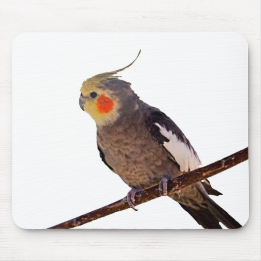 Graues und gelbes Cockatiel Pet Bird Color Foto Mousepad (Vorne)