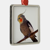 Graues und gelbes Cockatiel Pet Bird Color Foto Ornament Aus Metall (Rechts)