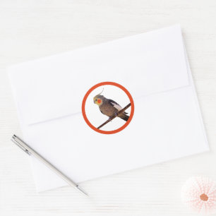 Graues und gelbes Cockatiel Pet Bird Color Foto Runder Aufkleber