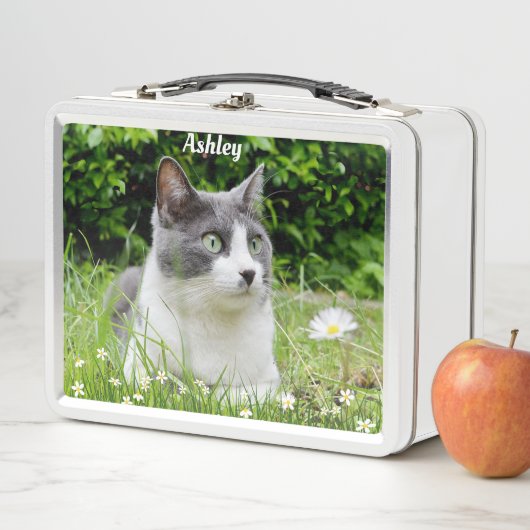 Graues und weißes Tuxedo Katzenbenutzerdefiniertes Metall Brotdose (Beispiel)