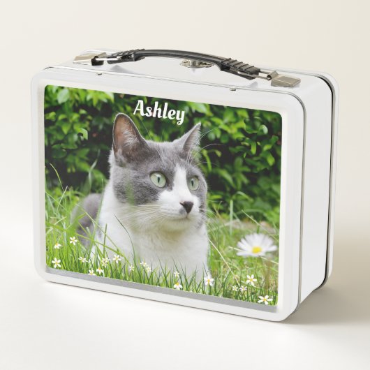 Graues und weißes Tuxedo Katzenbenutzerdefiniertes Metall Brotdose (Rückseite)