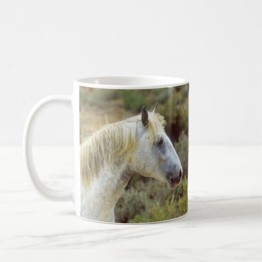 Graues Wild Pferd, Felssprings, Tasse des Kaffees  (Links)