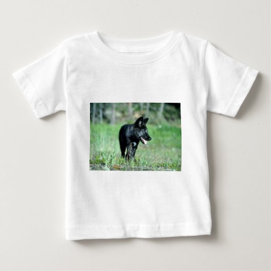 Graues Wolf-Sommer (Schwarzphase) Junges Baby T-shirt (Vorderseite)