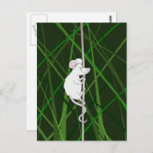 Graufeldmaus im hohen Gras Postkarte (Vorne/Hinten)