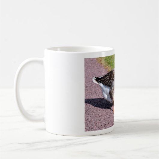 Graugans auf Kies Kaffeetasse (Links)