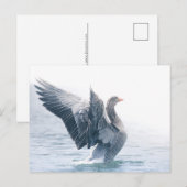 Graugans-Foto Feiertagspostkarte (Vorne/Hinten)