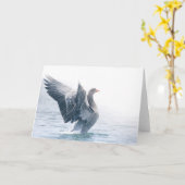 Graugans-Foto Karte (Gelbe Blume)