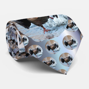 Graugans-Gans auf der Verfolgung Krawatte