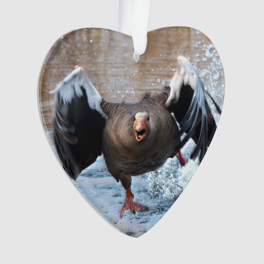 Graugans-Gans auf der Verfolgung Ornament (Vorderseite)