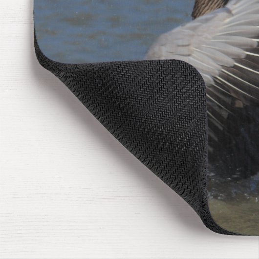 Graugans-Gans Mousepad (Ecke)