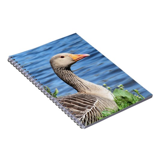 Graugans-Gans Notizblock (Rechte Seite)