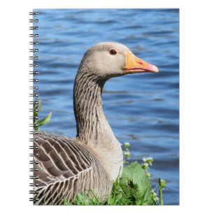 Graugans-Gans Notizblock