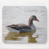 Graugans Mousepad (Vorne)