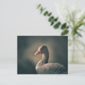 Graugans-Natur-Foto Postkarte (Stehend Vorderseite)