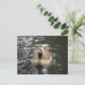 Graugans. Roath Park Lake, Cardiff, Wales Postkarte (Stehend Vorderseite)