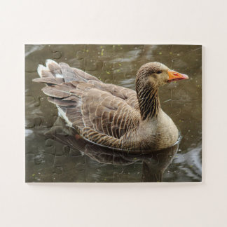 Graugans. Roath Park Lake, Cardiff, Wales Puzzle