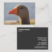 Graugans Visitenkarte (Vorne/Hinten)