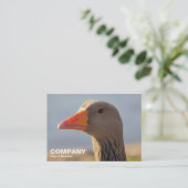 Graugans Visitenkarte (Stehend Vorderseite)