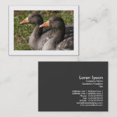 Graugänse (grenzt) visitenkarte (Vorne/Hinten)