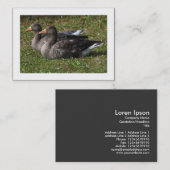 Graugänse (grenzt) visitenkarte (Vorne/Hinten)