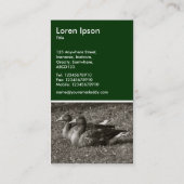 Graugänse (Sepia) - Dunkelgrün Visitenkarte (Rückseite)