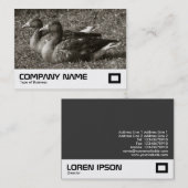 Graugänse (Sepia) Visitenkarte (Vorne/Hinten)