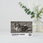 Graugänse (Sepia) Visitenkarte (Stehend Vorderseite)