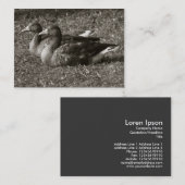 Graugänse (Sepia) Visitenkarte (Vorne/Hinten)