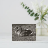 Graugänse (Sepia) Visitenkarte (Stehend Vorderseite)