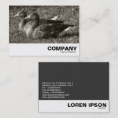 Graugänse (Sepia) Visitenkarte (Vorne/Hinten)