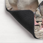 Graugänsewandergruppe Mousepad (Ecke)