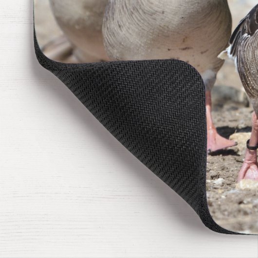 Graugänsewandergruppe Mousepad (Ecke)