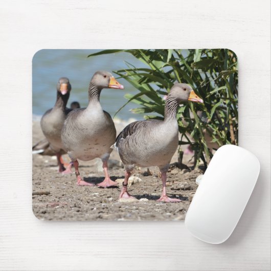 Graugänsewandergruppe Mousepad (Mit Mouse)