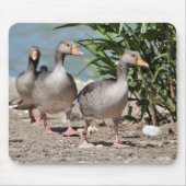 Graugänsewandergruppe Mousepad (Vorne)