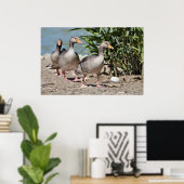 Graugänsewandergruppe Poster (Heimbüro)