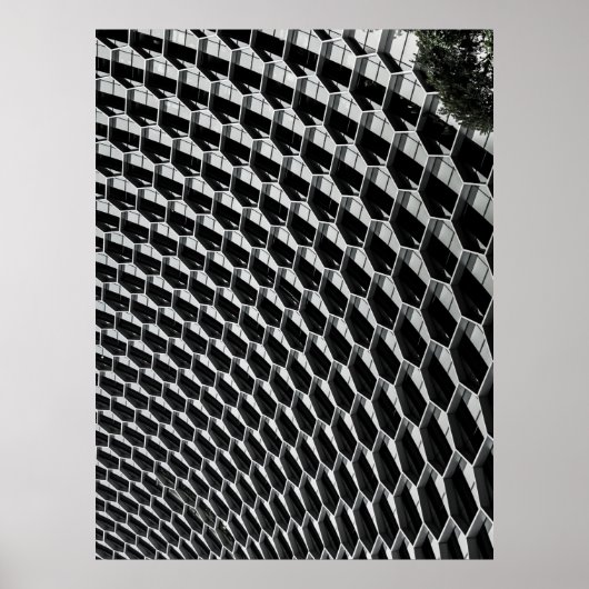 Grauglasdach Poster (Vorne)