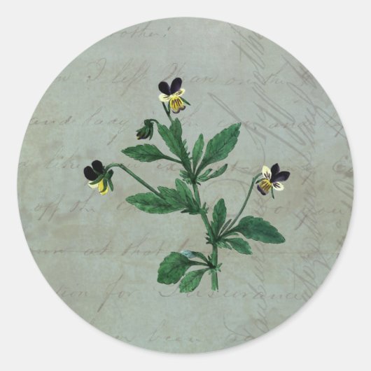Graugrün mit botanischen Veilchen Runder Aufkleber (Vorderseite)