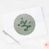 Graugrün mit botanischen Veilchen Runder Aufkleber (Umschlag)