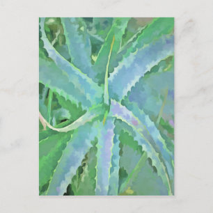 Graugrüne Aloe Abstrakte Malerei Postkarte