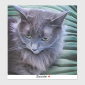 Graugrüne Mit Augen Katze, maßgeschneidert Vinyl S Aufkleber (Blatt)